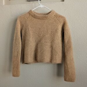 Quince small camel Mongolian Cashmere Cropped Sweater